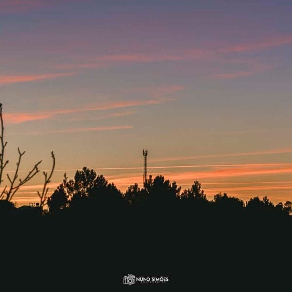 Crepúsculo Vibrante